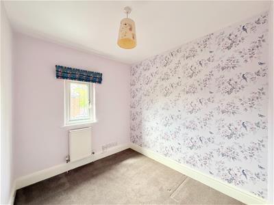 Picture 24